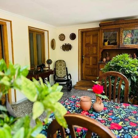 Home Inn-Guesthouse Lagodekhi Εξωτερικό φωτογραφία