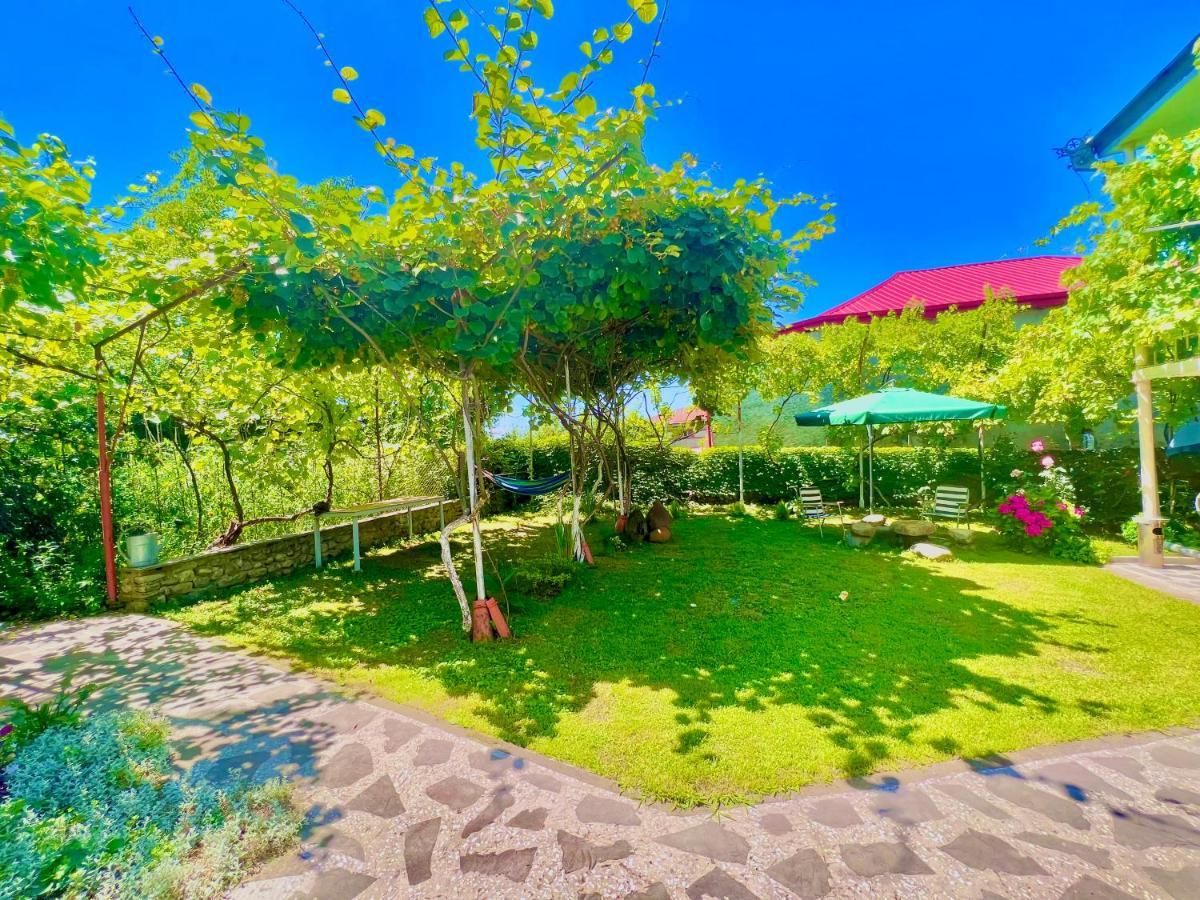 Home Inn-Guesthouse Lagodekhi Εξωτερικό φωτογραφία