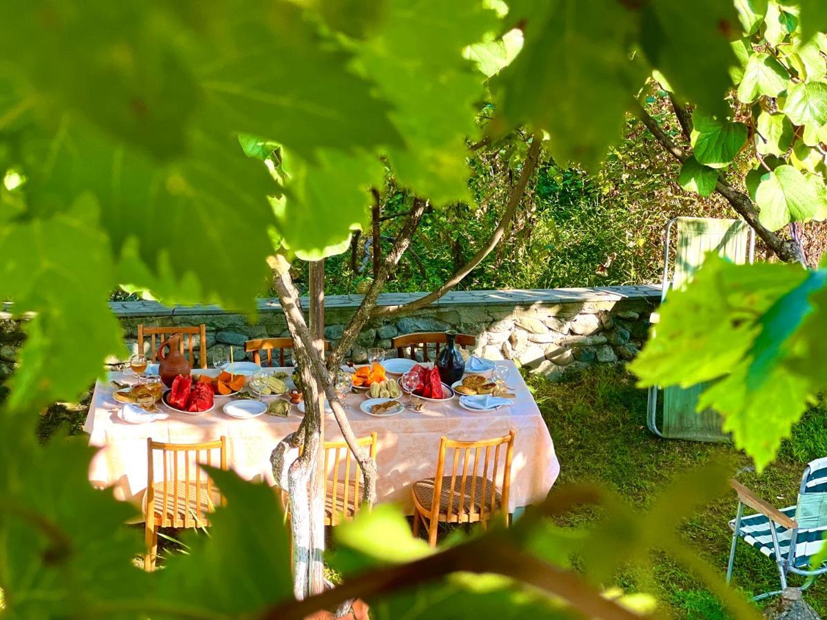 Home Inn-Guesthouse Lagodekhi Εξωτερικό φωτογραφία