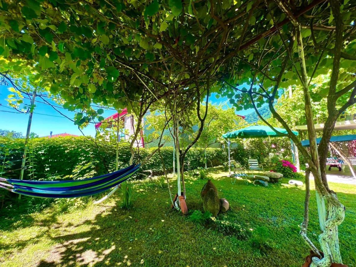 Home Inn-Guesthouse Lagodekhi Εξωτερικό φωτογραφία