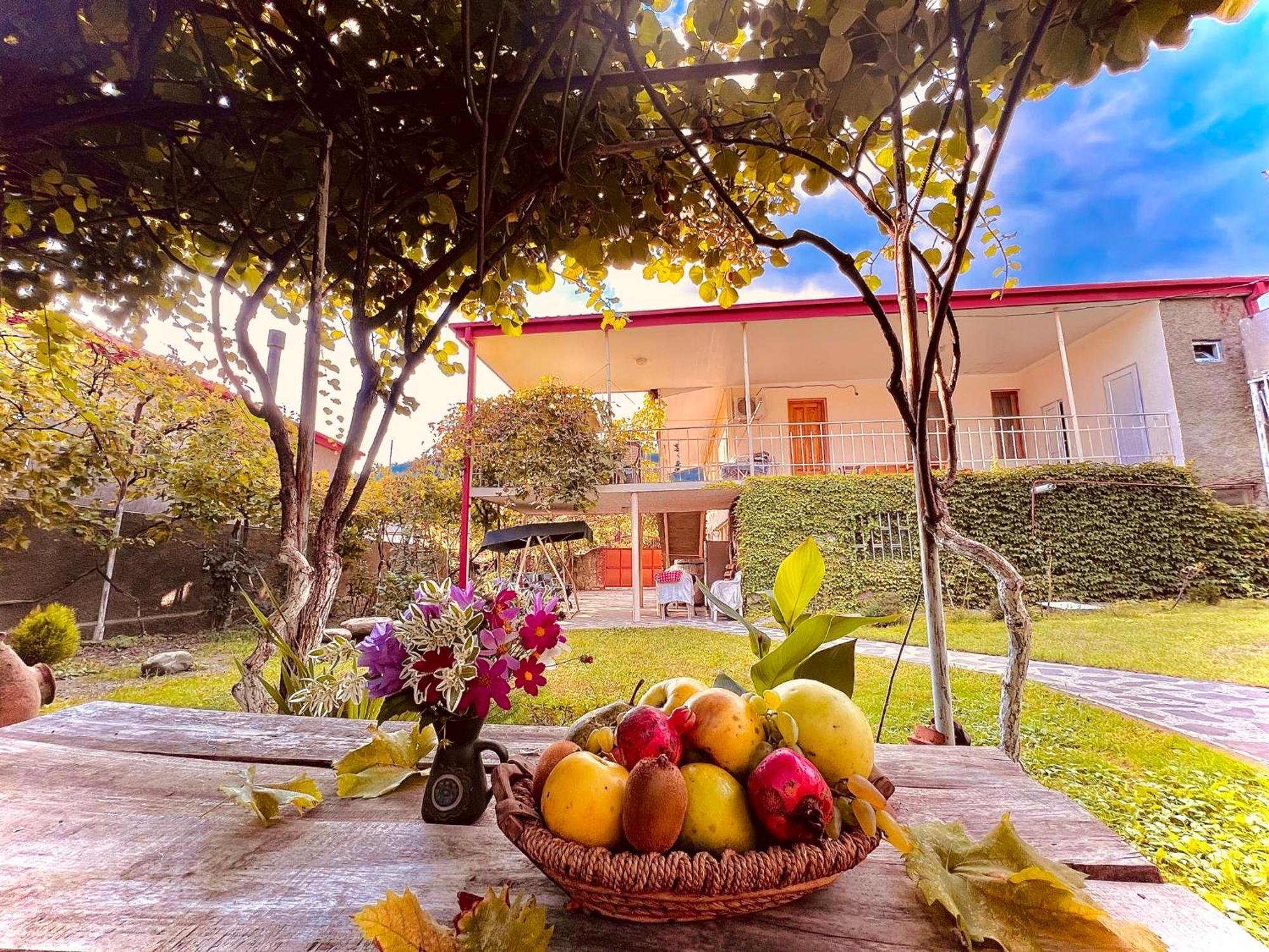 Home Inn-Guesthouse Lagodekhi Εξωτερικό φωτογραφία