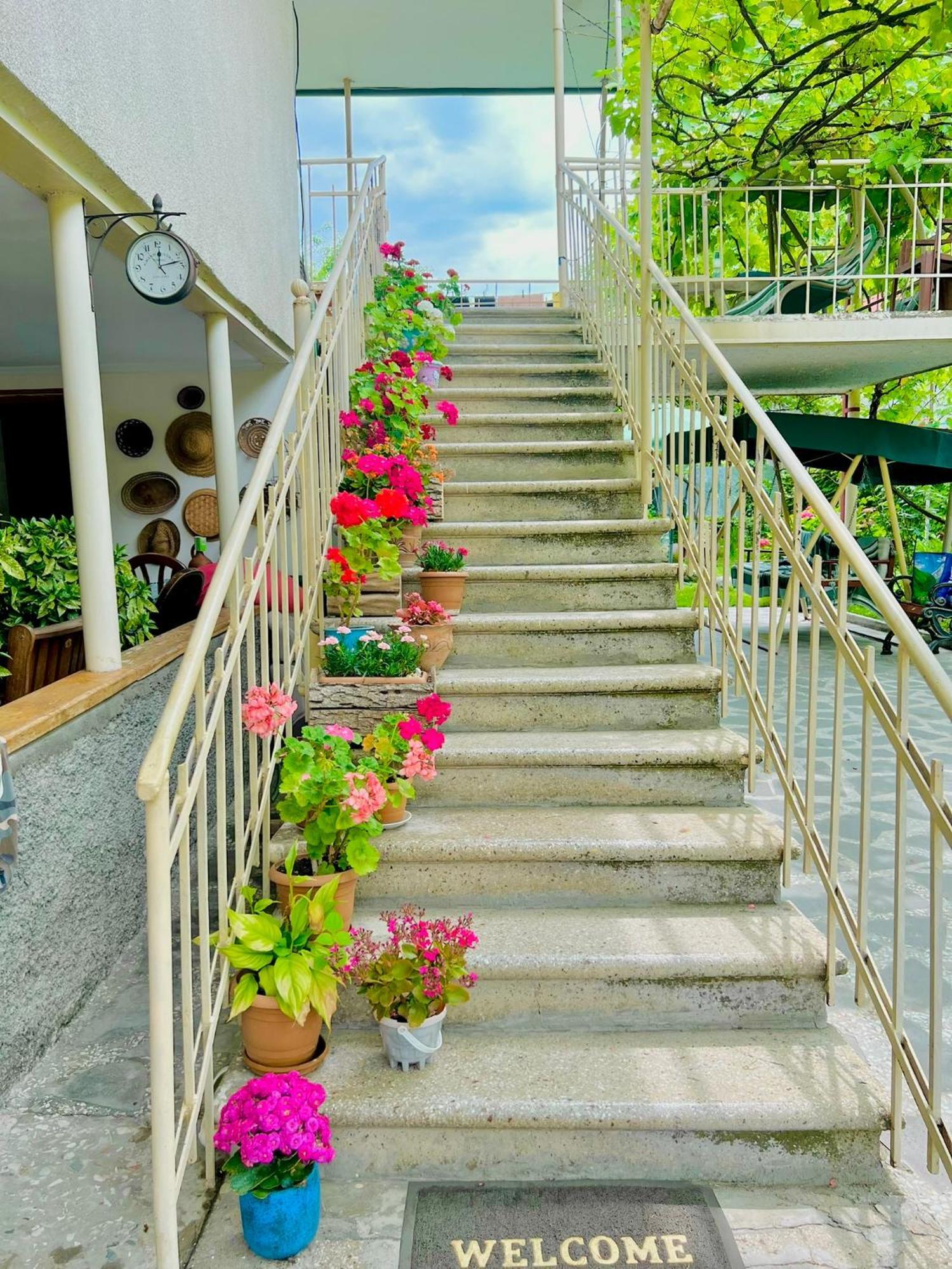 Home Inn-Guesthouse Lagodekhi Εξωτερικό φωτογραφία