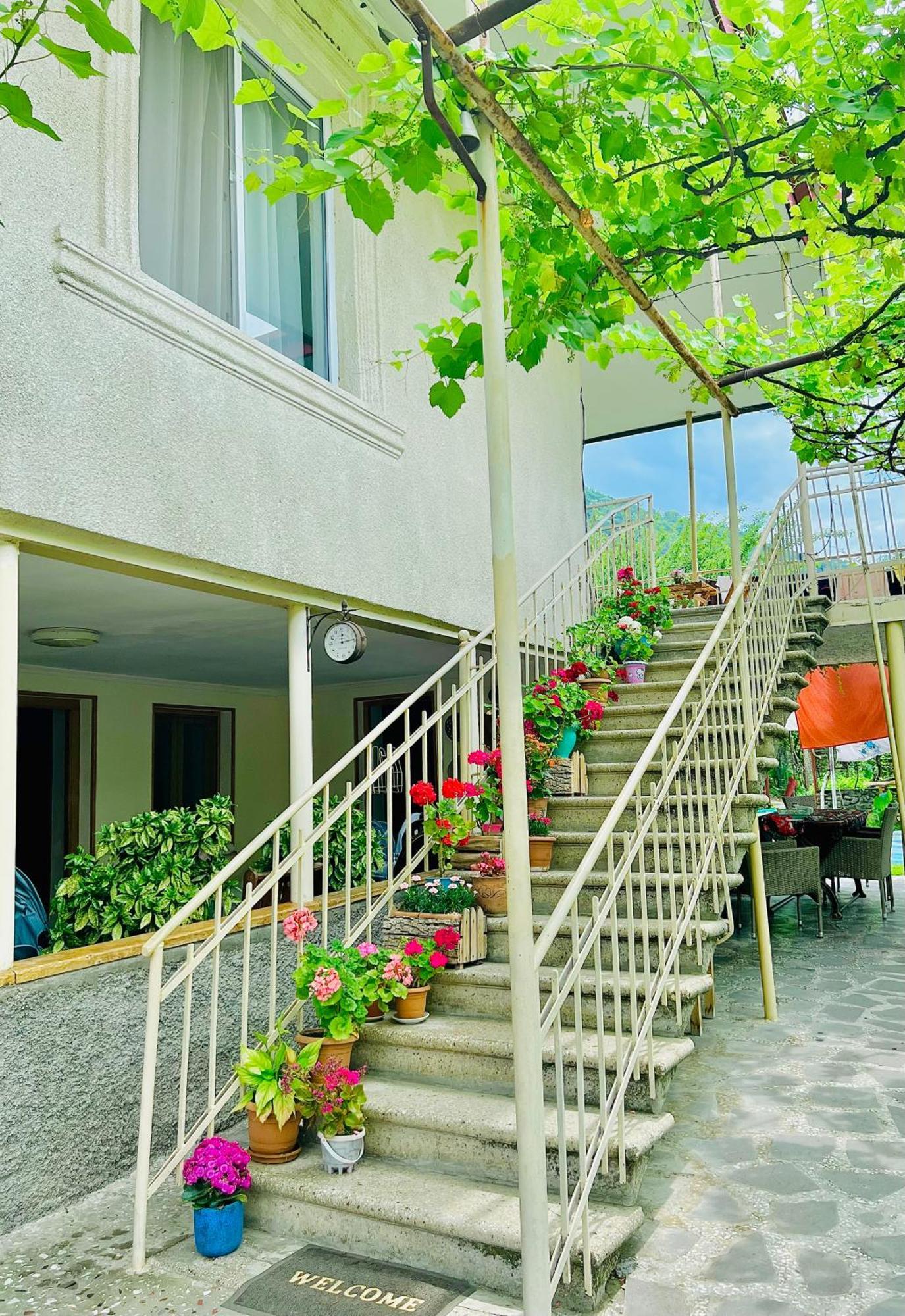Home Inn-Guesthouse Lagodekhi Εξωτερικό φωτογραφία