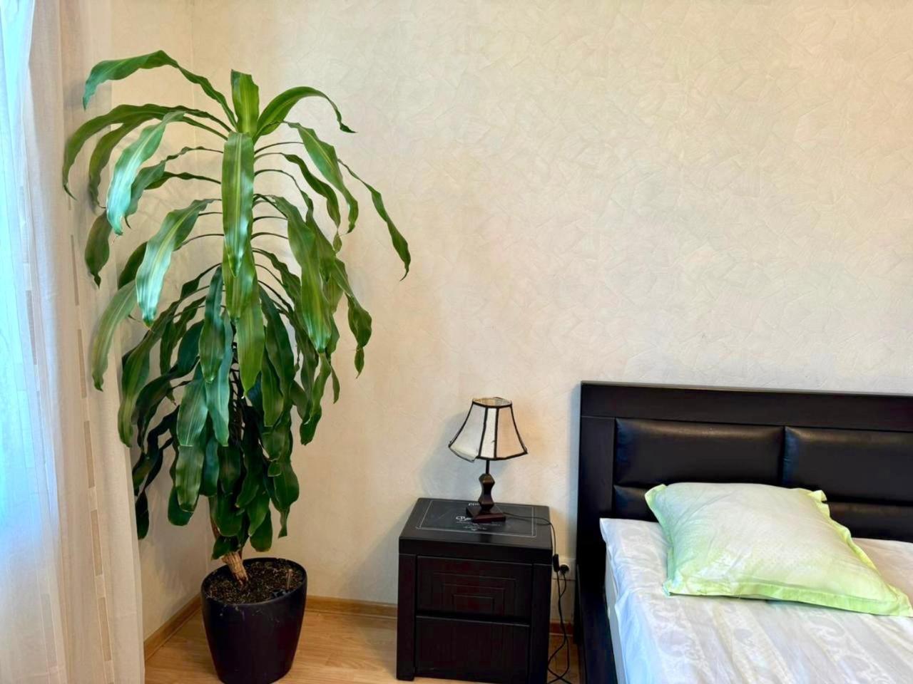 Home Inn-Guesthouse Lagodekhi Εξωτερικό φωτογραφία
