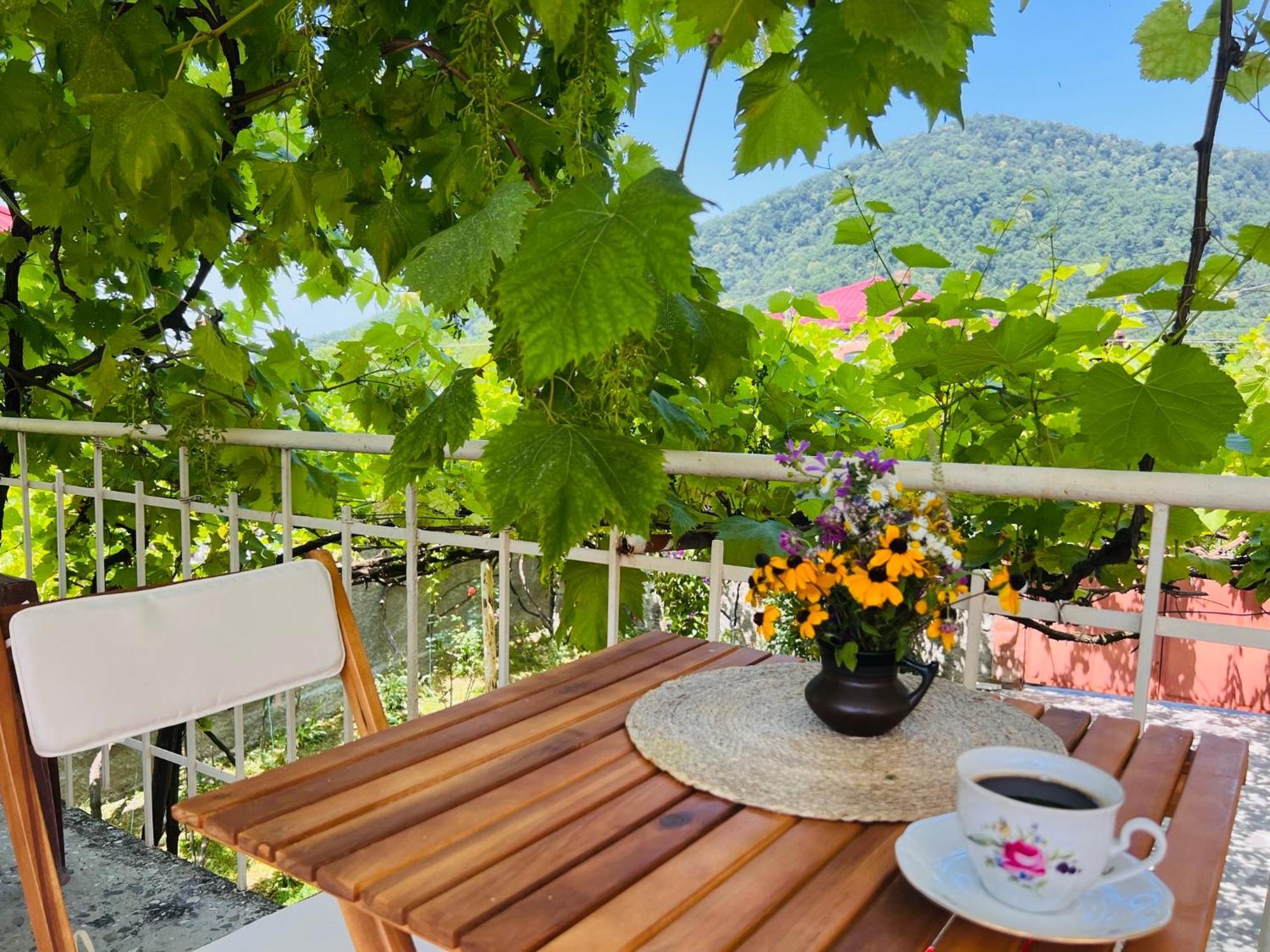 Home Inn-Guesthouse Lagodekhi Εξωτερικό φωτογραφία
