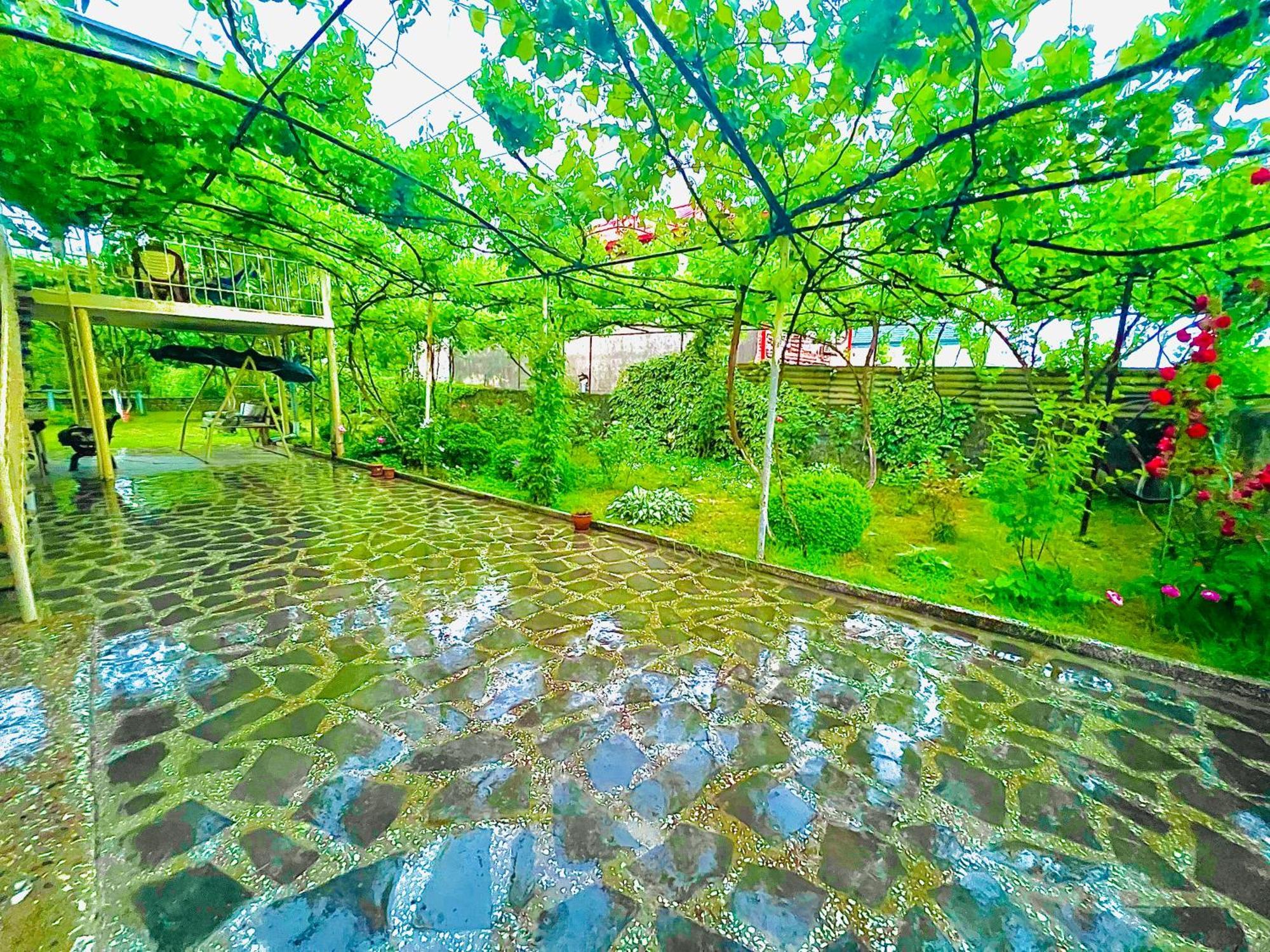 Home Inn-Guesthouse Lagodekhi Εξωτερικό φωτογραφία